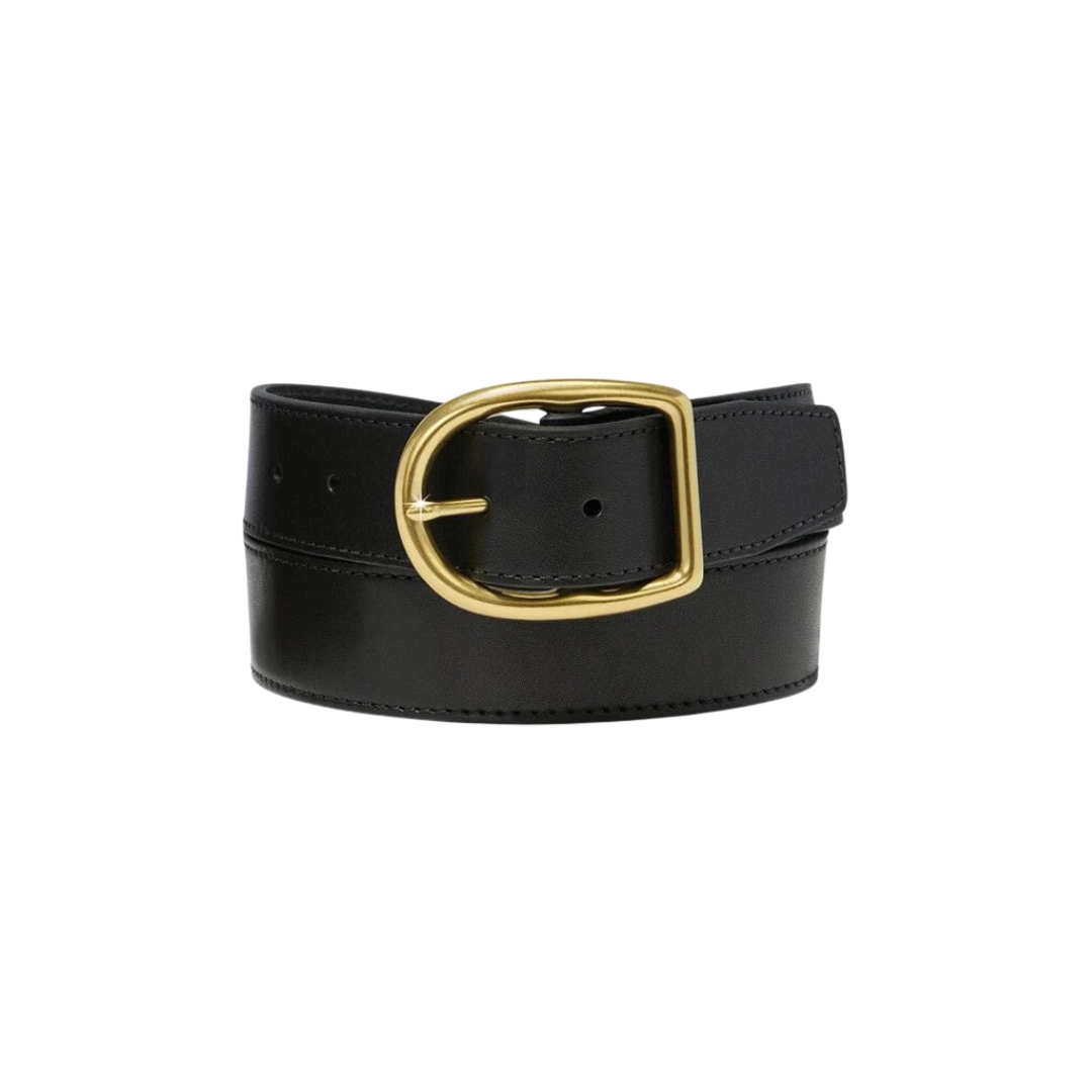 Brighton Women's Ambrose Black Belt