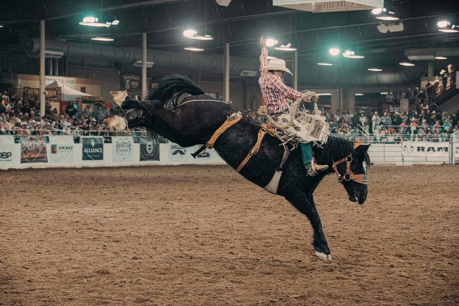 Cowboy riding a horse at a rodeo show