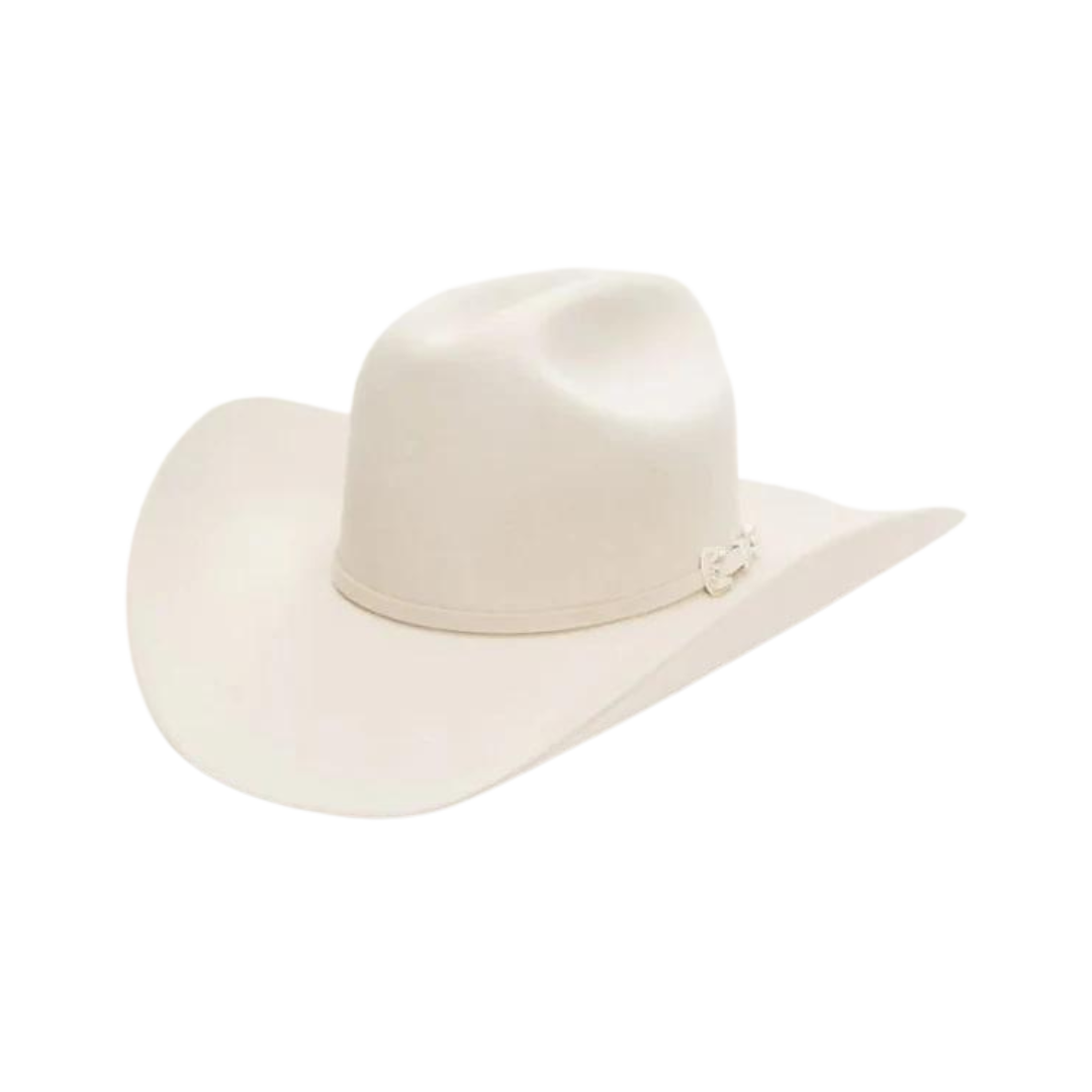 Stetson Men's 6X Skyline Silverbelly Felt Hat