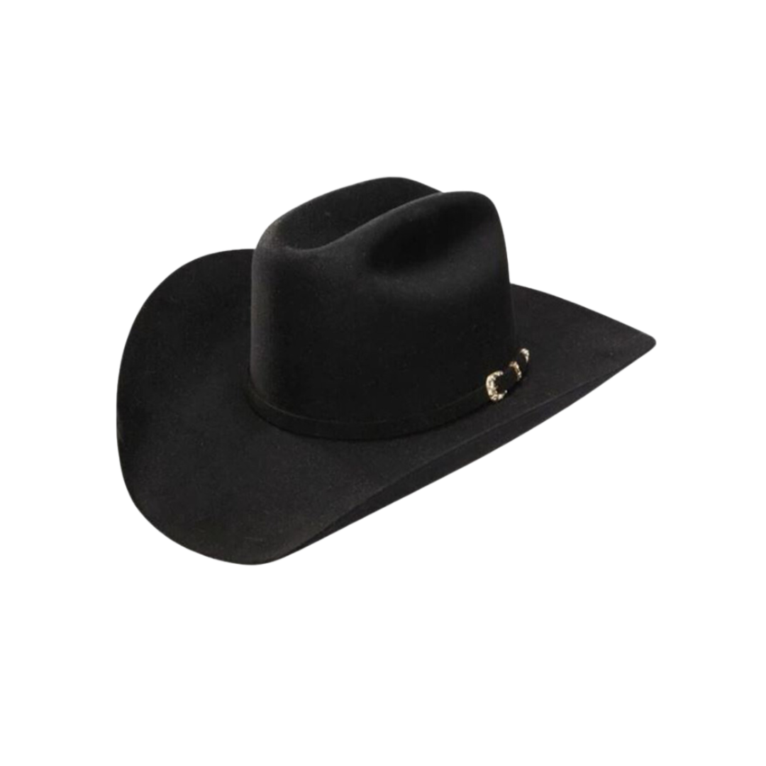 The Boot Jack: Stetson Men's 6x Palacio Fur Felt Black Hat
