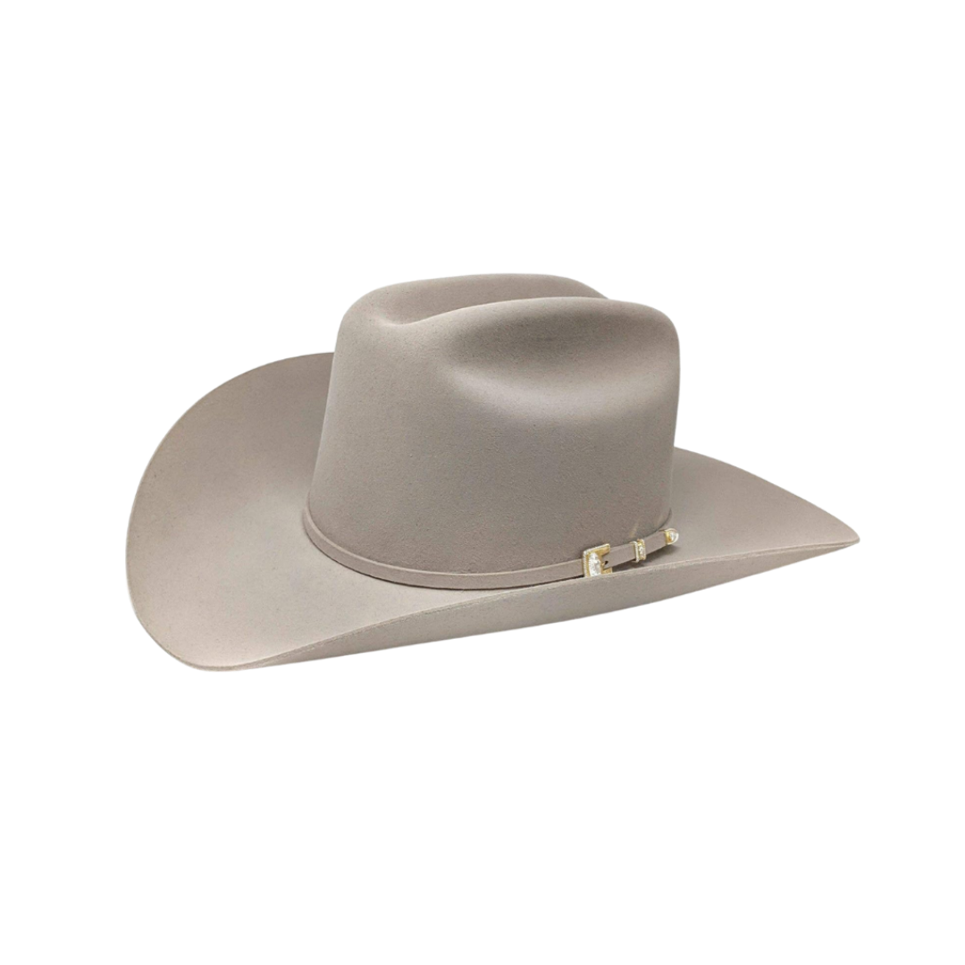 Stetson Men's 6X Guadalupana Felt Silverbelly Hat