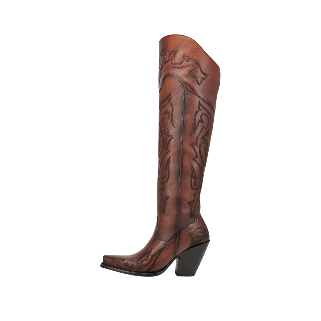 Dan Post Women's Seductress Brown Boots