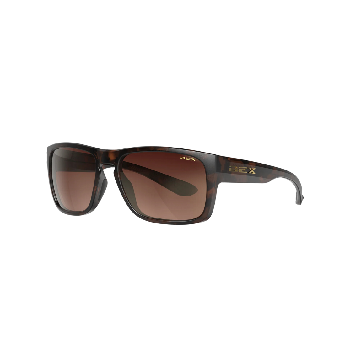 Bex Jaebyrd Otg Tortoise Brown Glasses