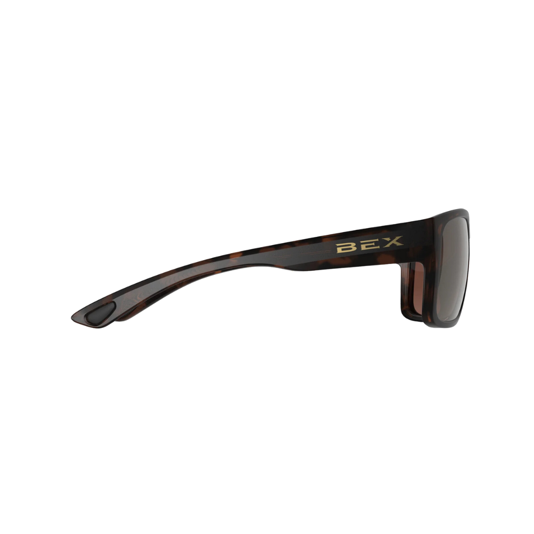 Bex Jaebyrd Otg Tortoise Brown Glasses