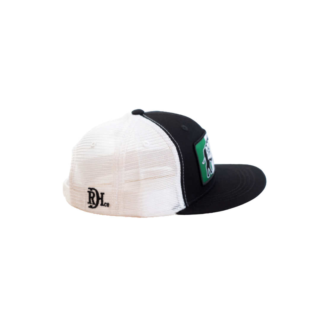 Red Dirt Youth Boy's Mexican Flag Mesh Snap Black Cap