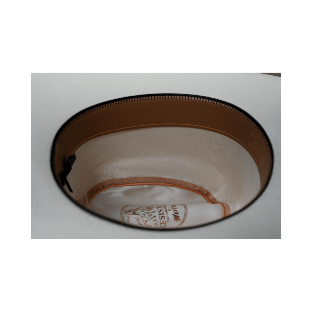Resistol Hats 100x All Around Straw Hat