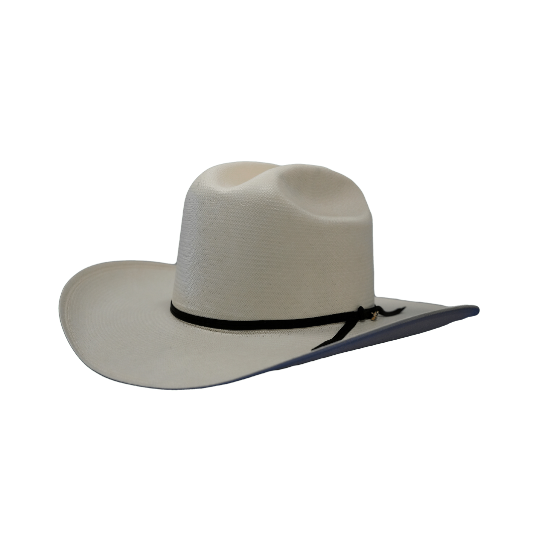 Resistol Hats 100x All Around Straw Hat