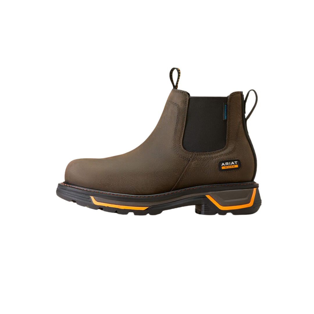 Ariat Men&