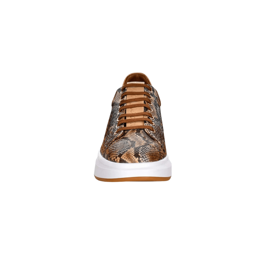 Cuadra Women's Python Leather Brown Sneakers