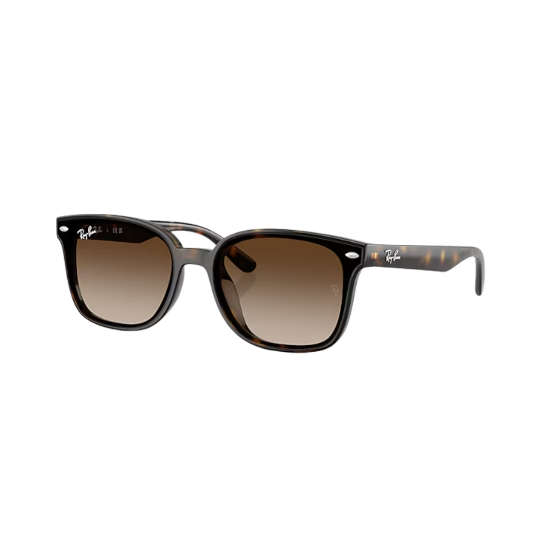 Ray-Ban Unisex Havana Gradient Brown Sunglasses