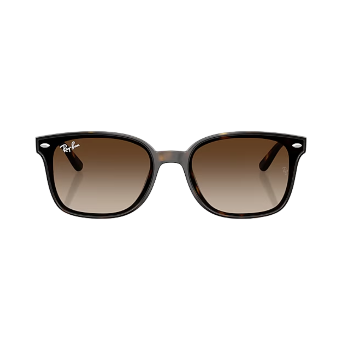 Ray-Ban Unisex Havana Gradient Brown Sunglasses