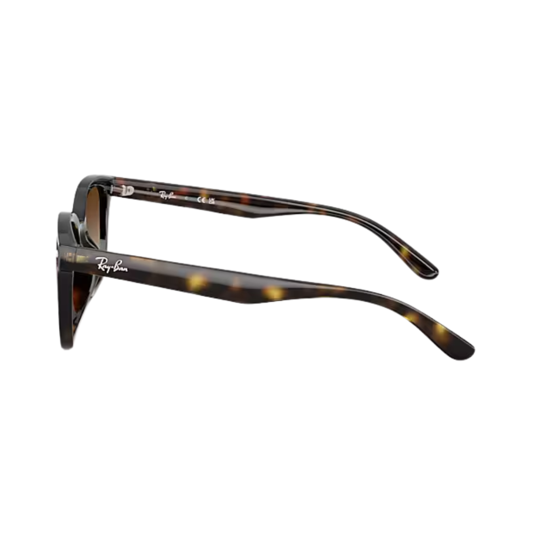 Ray-Ban Unisex Havana Gradient Brown Sunglasses