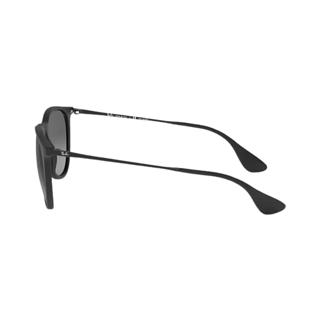 Ray-Ban Unisex Erika Rubber Grey Metal Sunglasses
