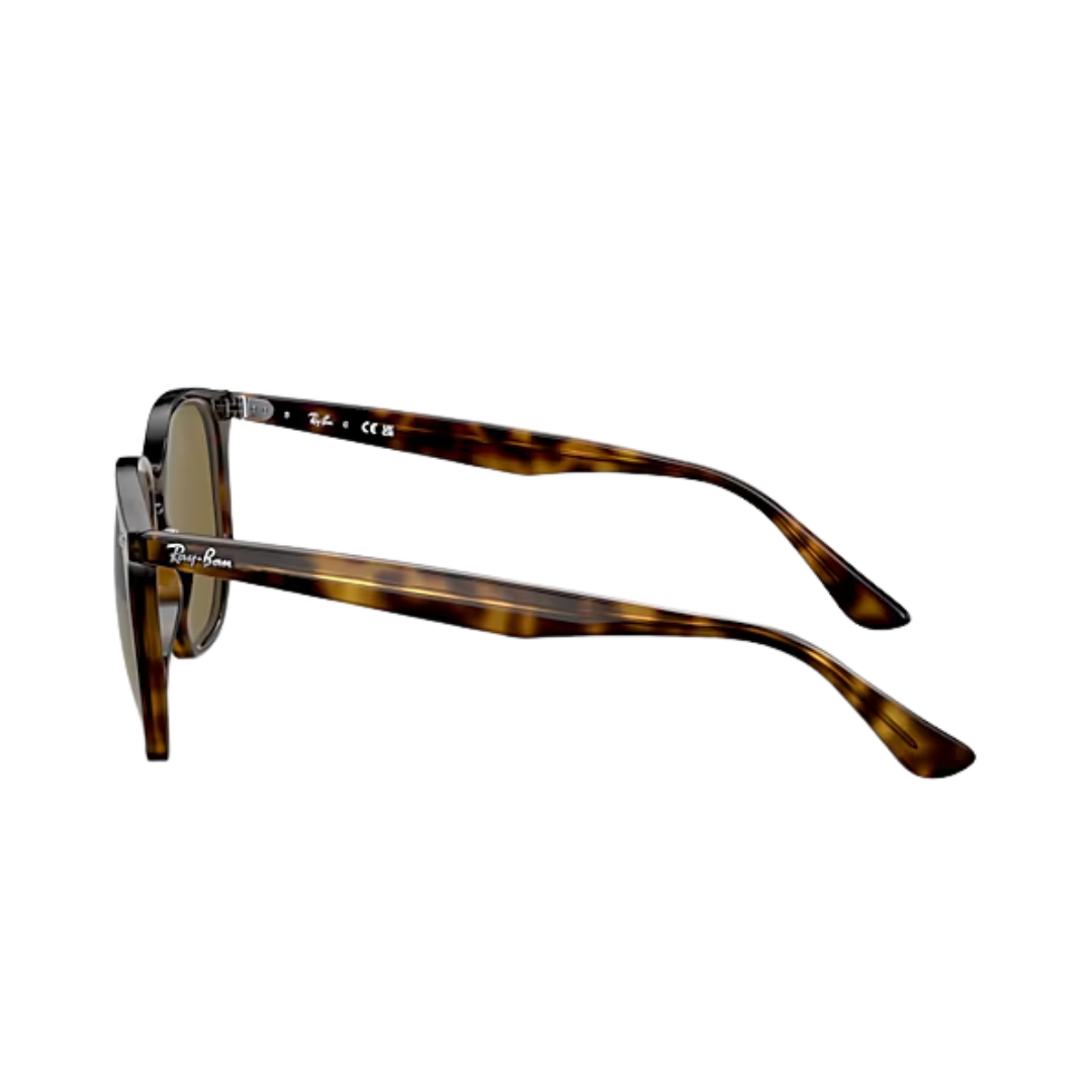Ray-Ban Unisex Havana Light Dark Brown Sunglasses