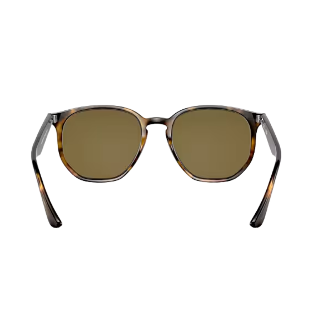 Ray-Ban Unisex Havana Light Dark Brown Sunglasses