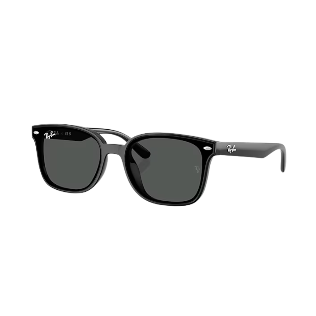 Ray-Ban Unisex Dark Grey Sunglasses