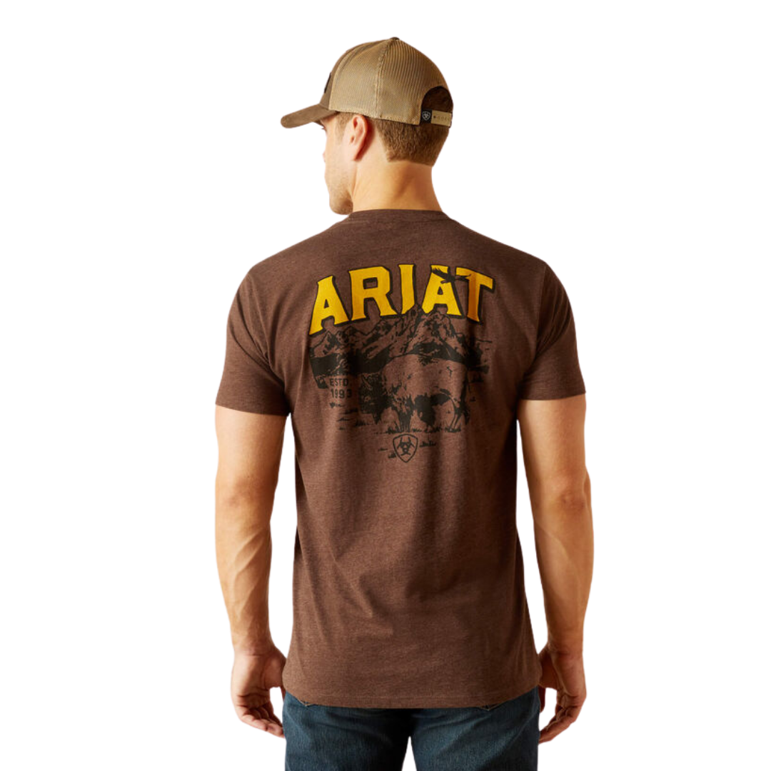 Ariat Men's Bison Sketch Brown T-Shirt - XS