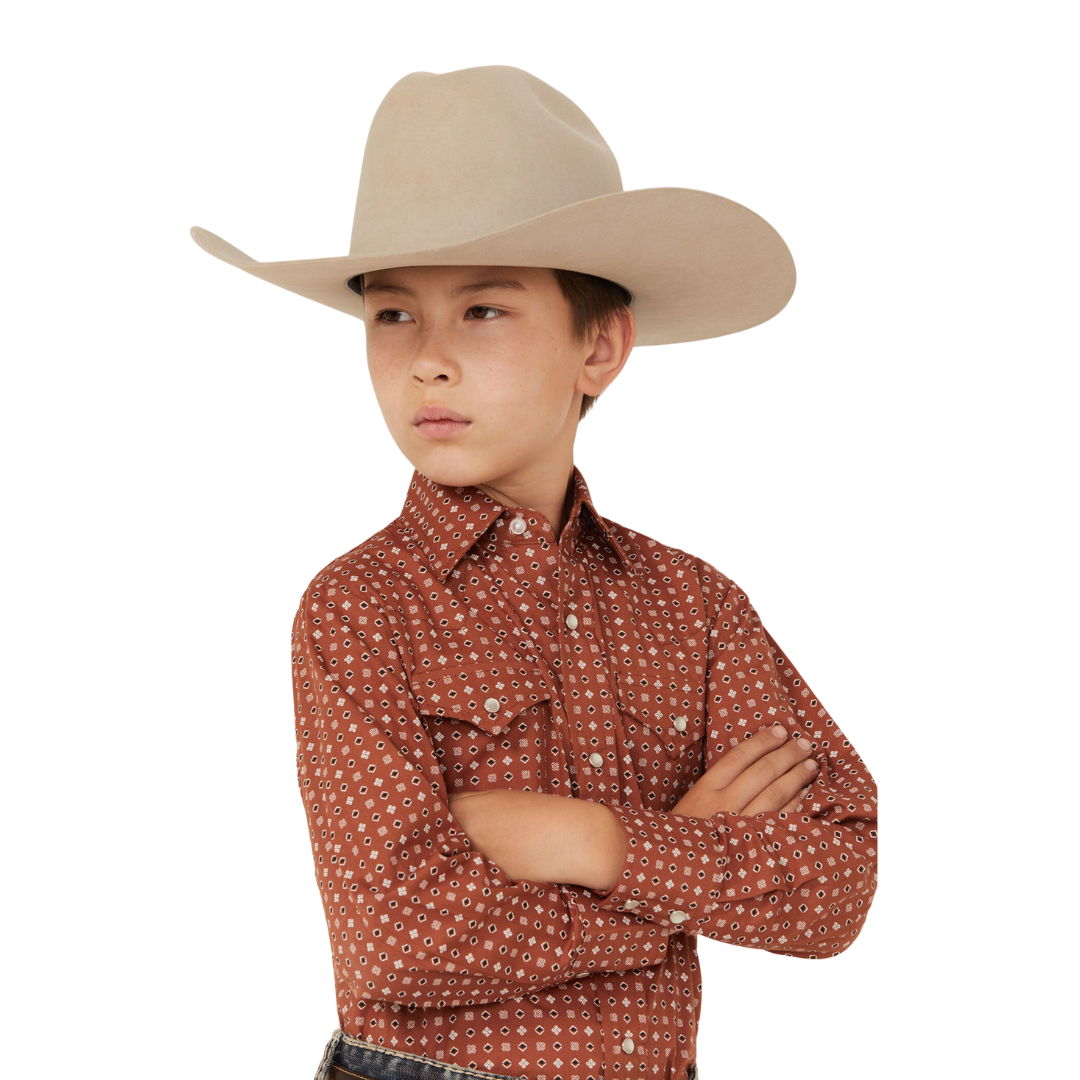 Ely Walker Youth Boy's Geo Print Western Brown Shirt
