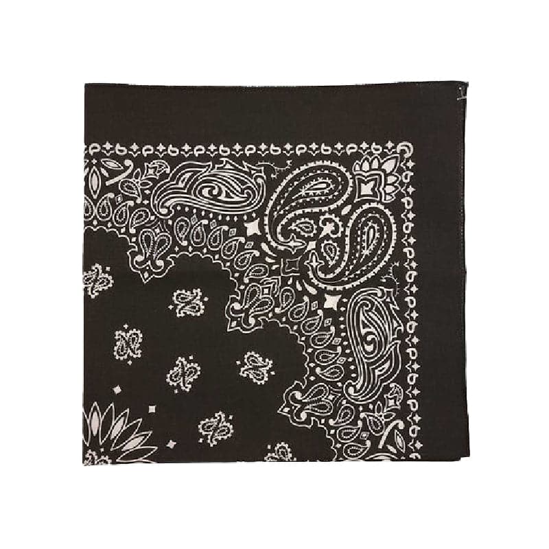 Austin Accent Black Paisley Print Bandana