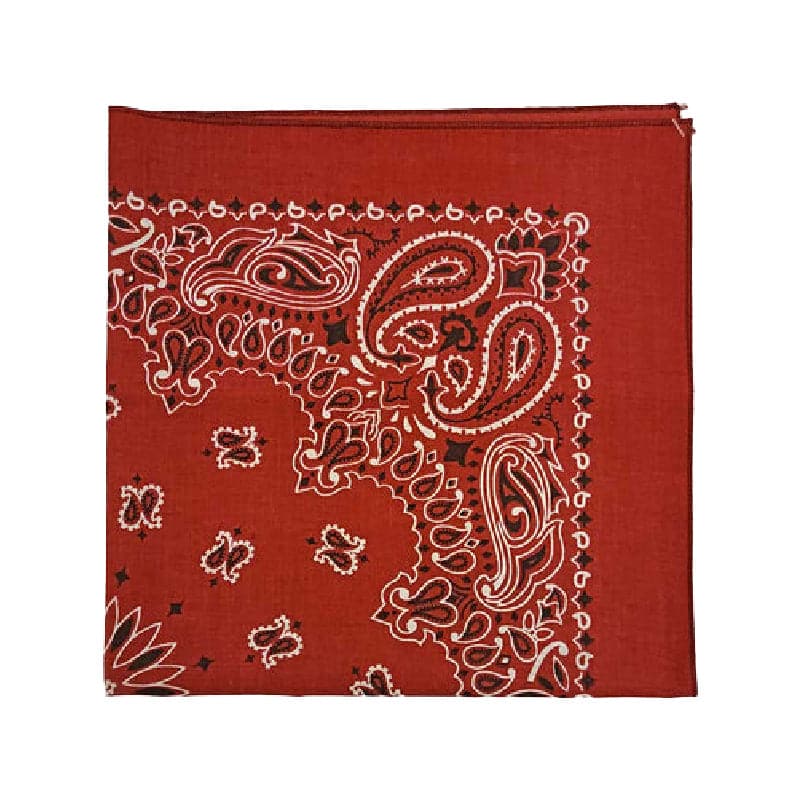 Austin Accent Red Mexican Pattern Bandana