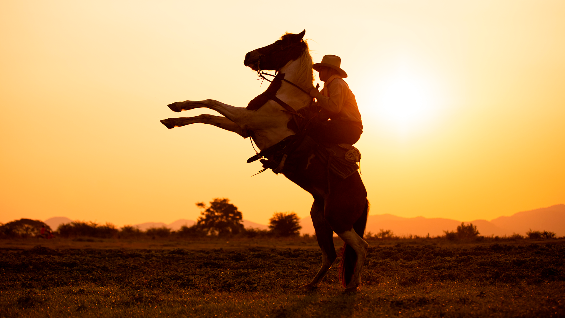 Vaquero Roots of Western Wear: Discover Cowboy Culture’s True Origin
