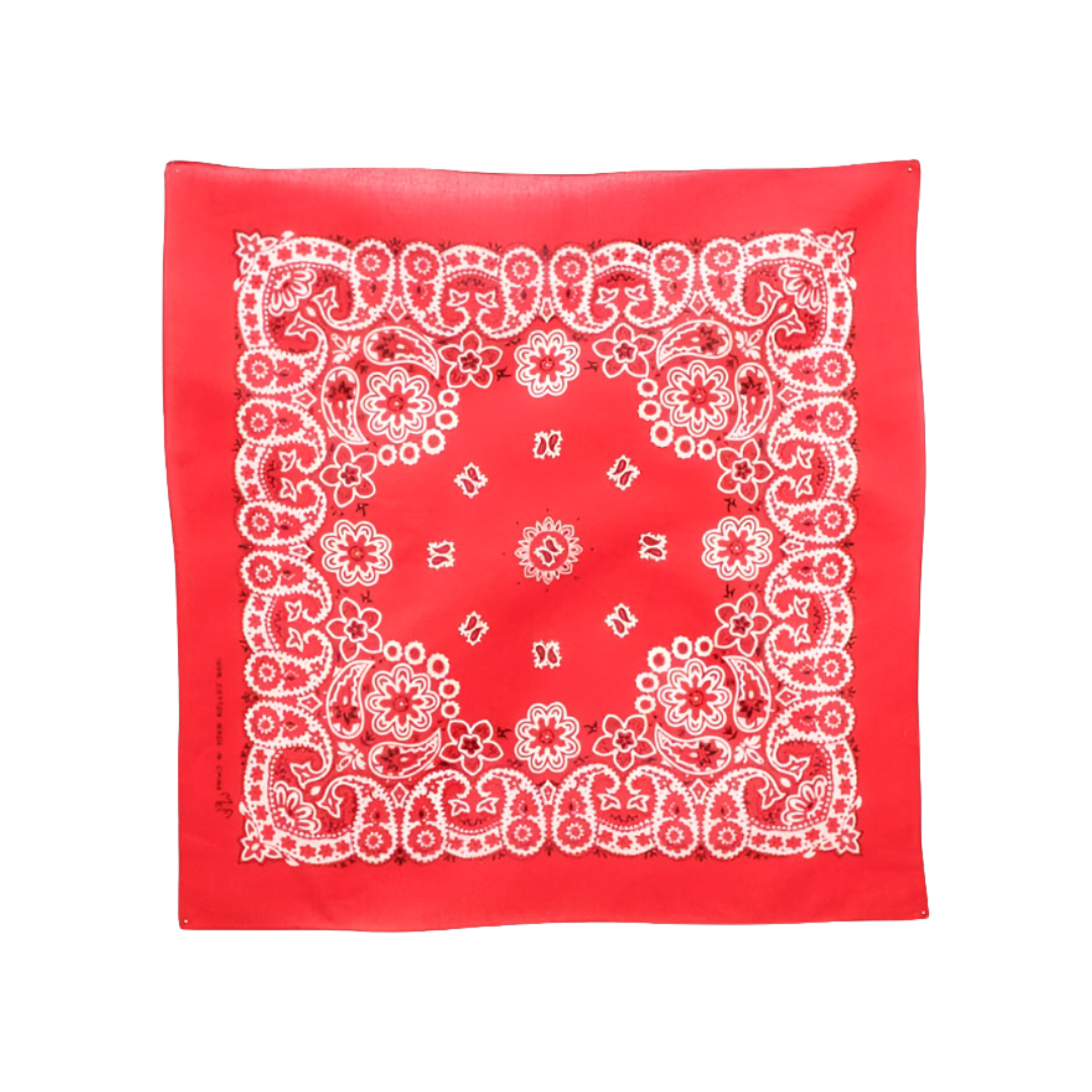M&F Men's Paisely And Floral Red Bandana