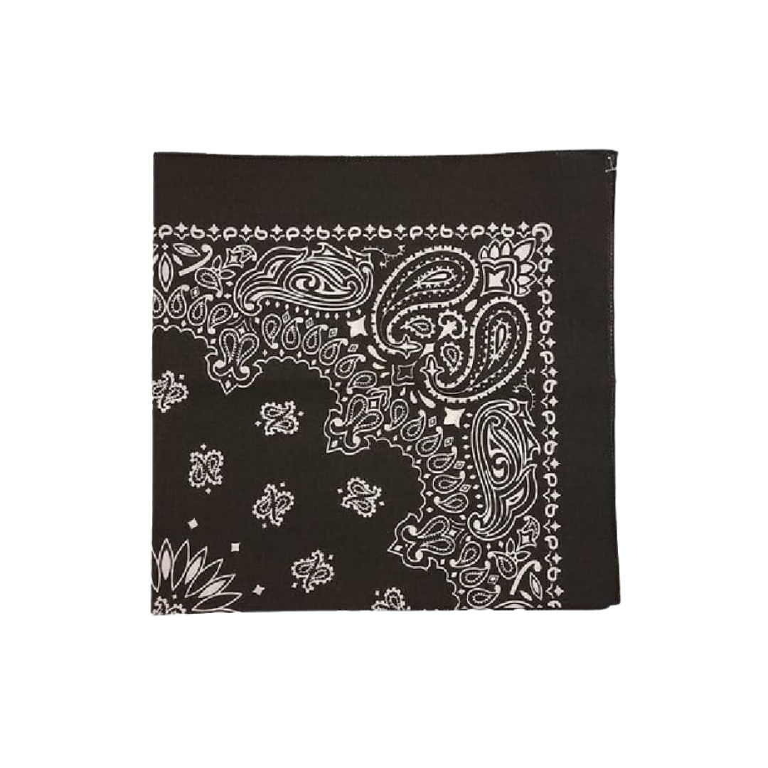 Austin Accent Men's Paisley Print Black Bandana
