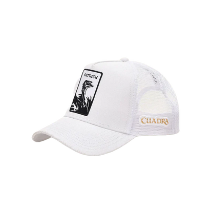 Cuadra Men&
