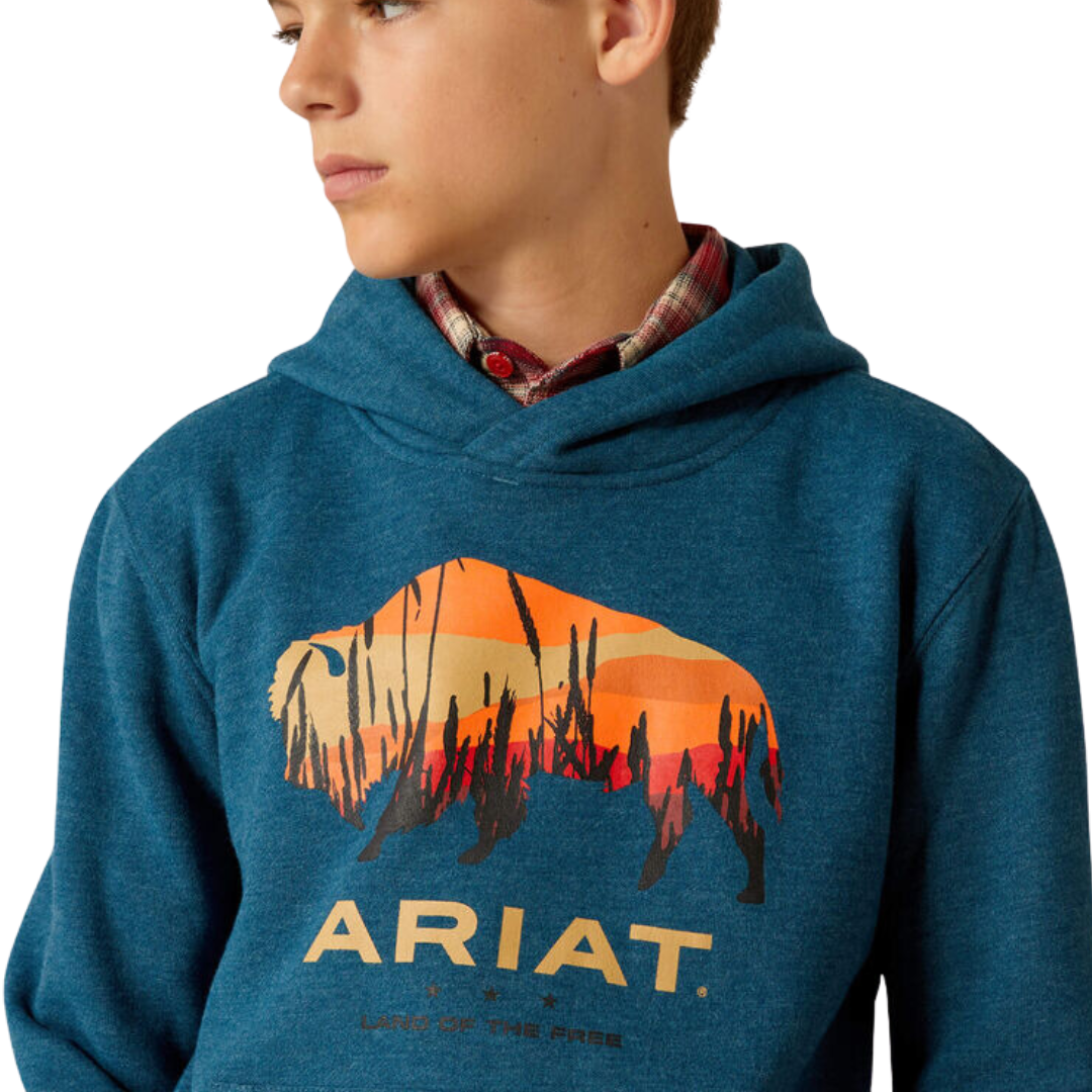 Ariat Youth Boy's Bison Plains Hydran Heather Hoodie