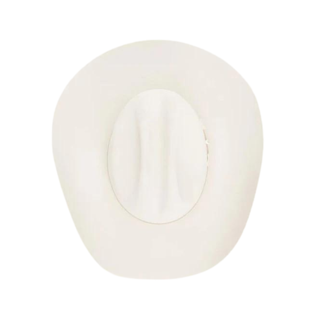Stetson Men's 6X Skyline Silverbelly Felt Hat
