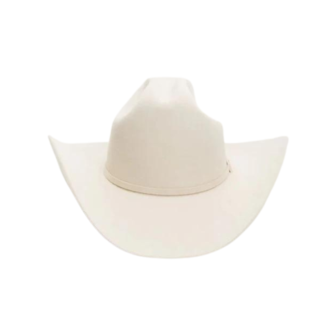 Stetson Men's 6X Skyline Silverbelly Felt Hat