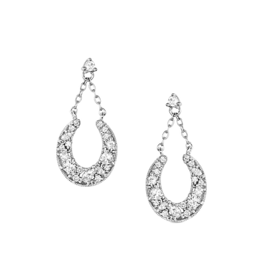 Montana Silversmiths Women's Intentional Luck Drop Grey Earrings