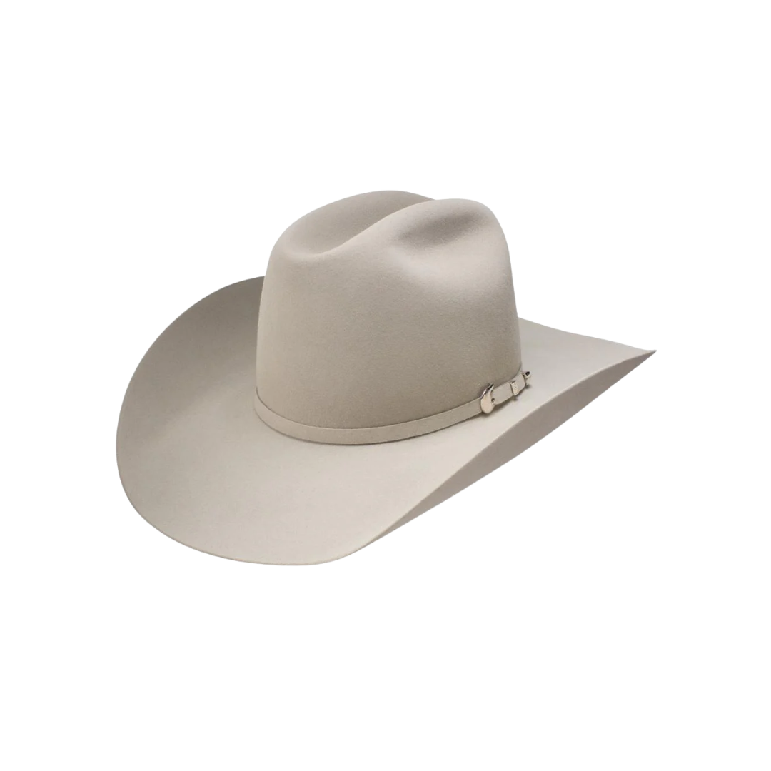 Resistol Men's 6X Midnight Silverbelly Felt Hat