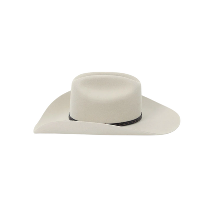 Stetson Men's 5X Medalist Fur Wool Silver Hat