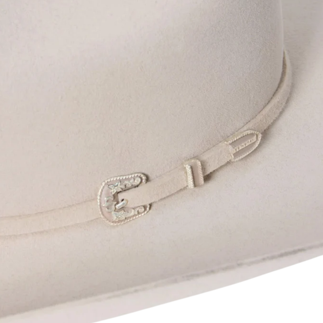 Stetson Men's 6X Skyline 250th Collection Silverbelly Hat