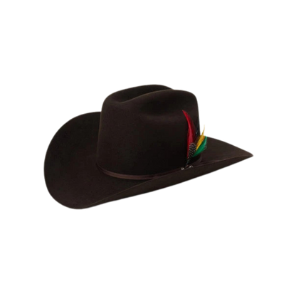 Stetson Men's 4" Rancher 6X Felt Chocolate Hat