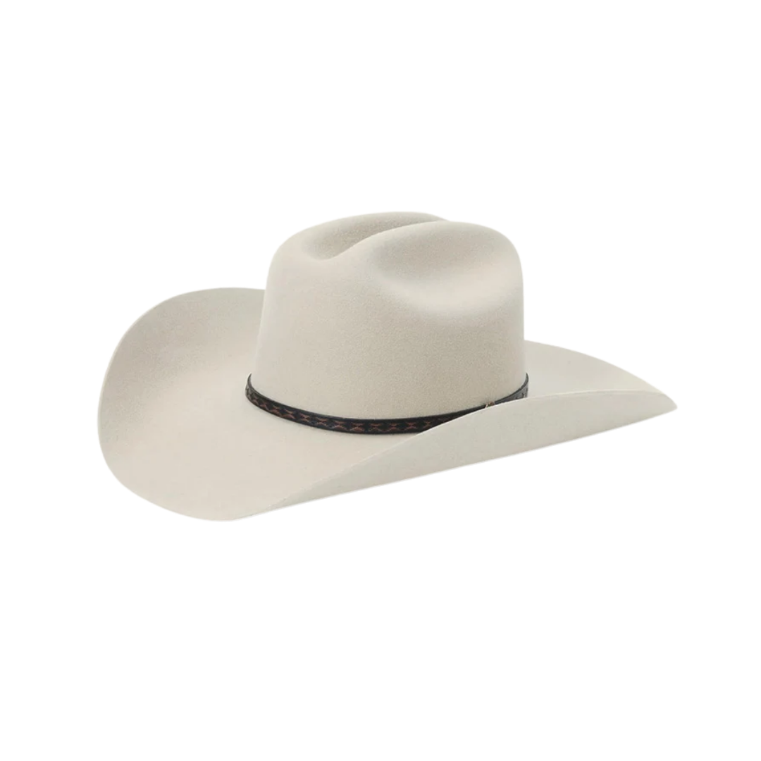 Stetson Men's 5X Medalist Fur Wool Silver Hat