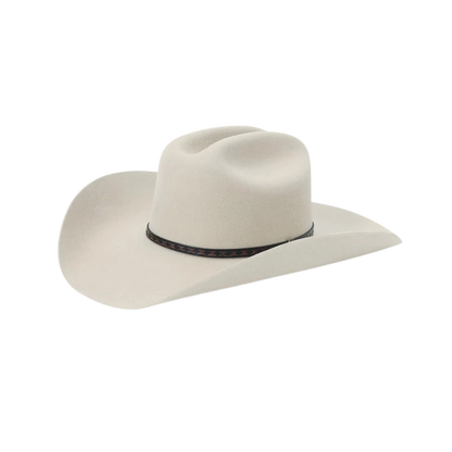 Stetson Men's 5X Medalist Fur Wool Silver Hat