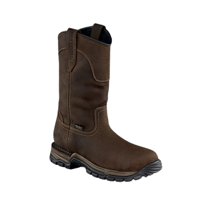 Irish Setter men&