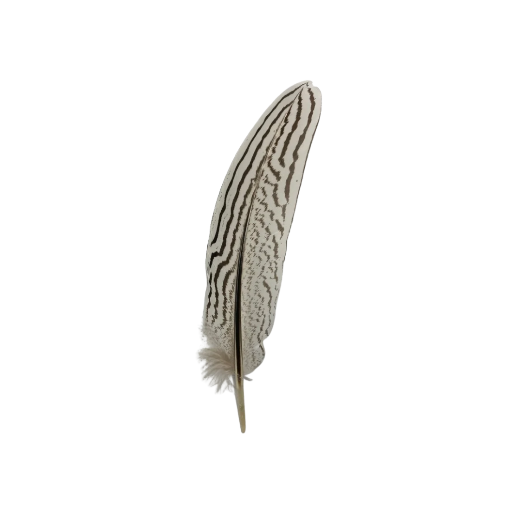 M&F Unisex Hat White Feather