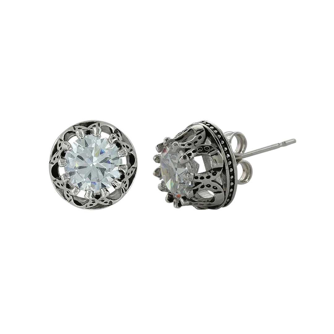 Montana Women's Lucky Water Horseshoe Post Earrings