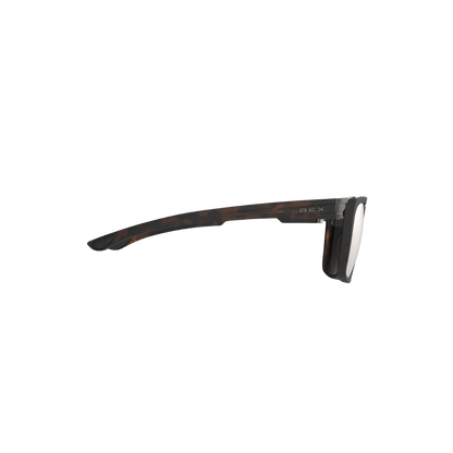 Bex Adams Unisex Tortoise Brown Brown Silver Sunglasses