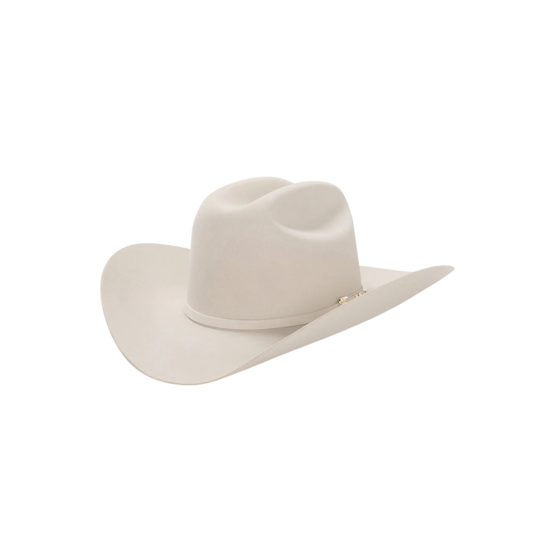 Stetson Men's Diamante Premier Cowboy Silverbelly Hat
