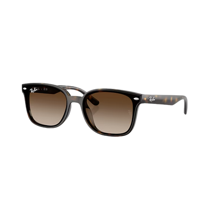 Ray-Ban Unisex Havana Gradient Brown Sunglasses
