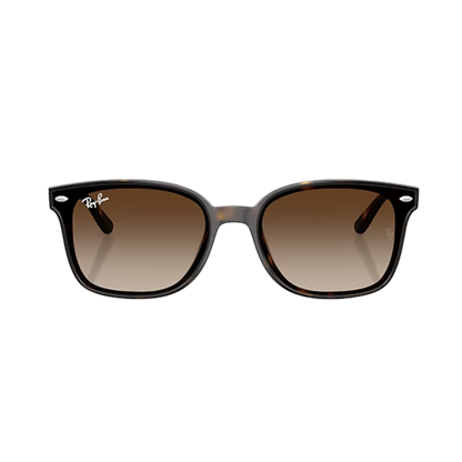 Ray-Ban Unisex Havana Gradient Brown Sunglasses