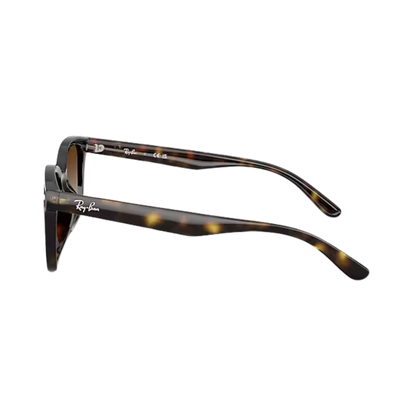 Ray-Ban Unisex Havana Gradient Brown Sunglasses
