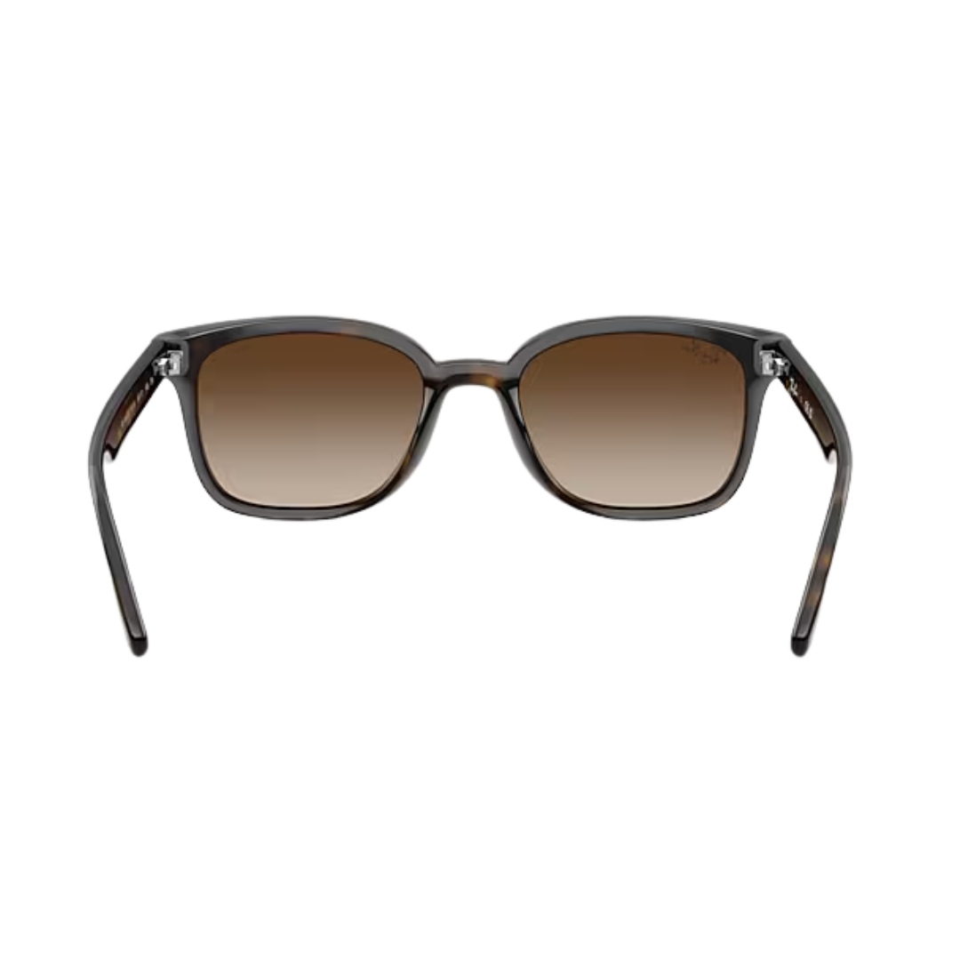 Ray-Ban Unisex Havana Gradient Brown Sunglasses