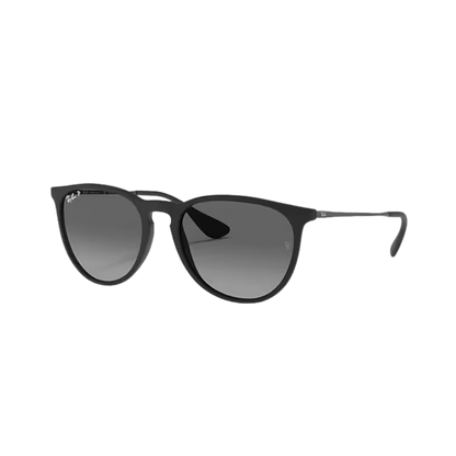 Ray-Ban Unisex Erika Rubber Grey Metal Sunglasses