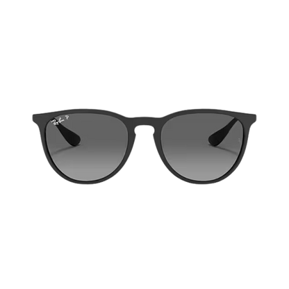 Ray-Ban Unisex Erika Rubber Grey Metal Sunglasses