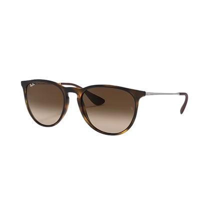 Ray-Ban Unisex Erika Rubber Havana Brown Sunglasses